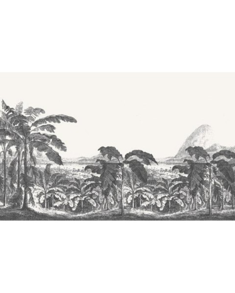 Feathr | Palms and Mountain | Fe33201